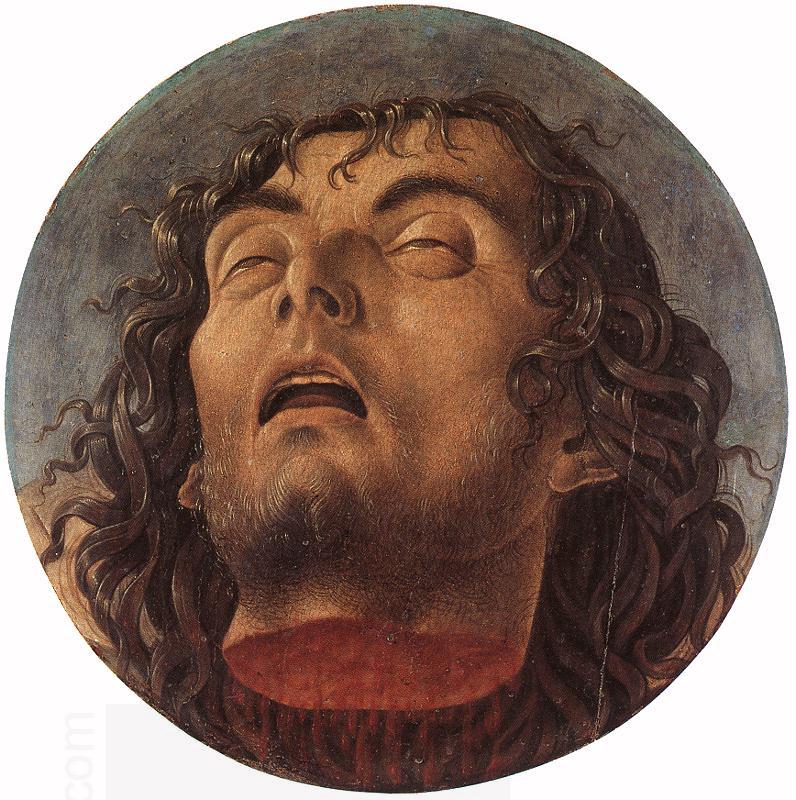 BELLINI, Giovanni Head of the Baptist 223 oil painting picture
